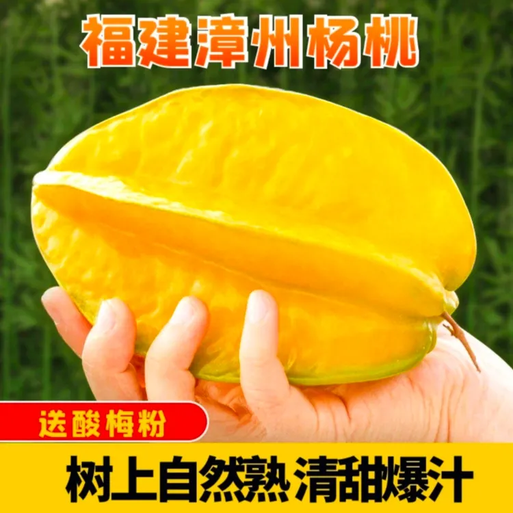 福建下河杨桃新鲜清甜多汁水果现摘现发产地包邮杨桃新鲜产地直发