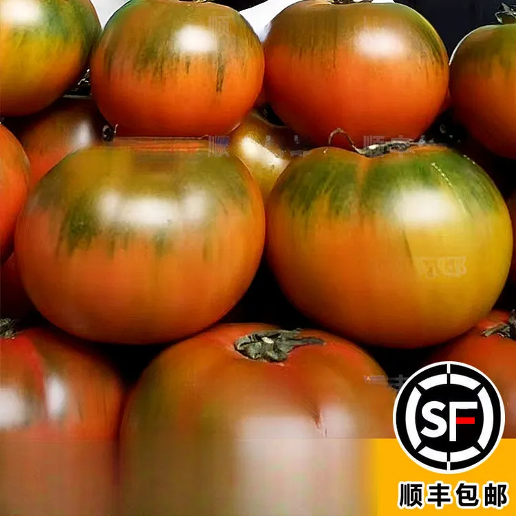 顺丰【真铁皮】正宗鹰爪番茄露天碱地铁皮柿子新鲜现摘草莓西红柿