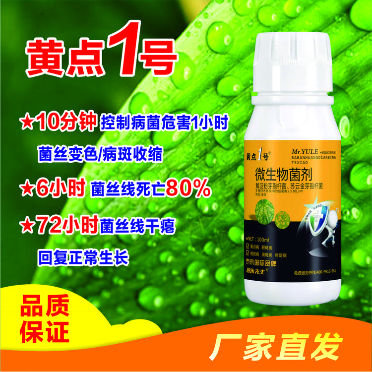 靶斑黄点一号黄瓜 黄斑小黄点 角斑黄瓜有效微生物菌剂叶面肥