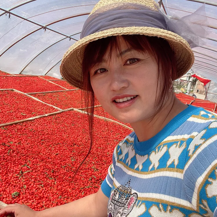 珍昊淇自产自销正宗宁夏大颗粒（大果）枸杞宁夏中宁头茬枸杞营养果