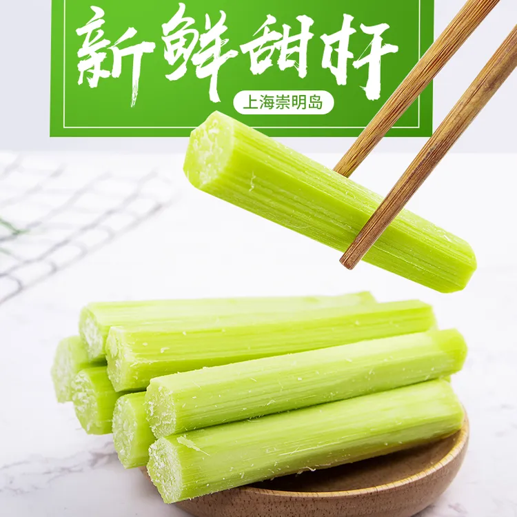 顺丰冷链当日新鲜5斤崇明甜芦粟甜杆甜高粱杆小甘蔗