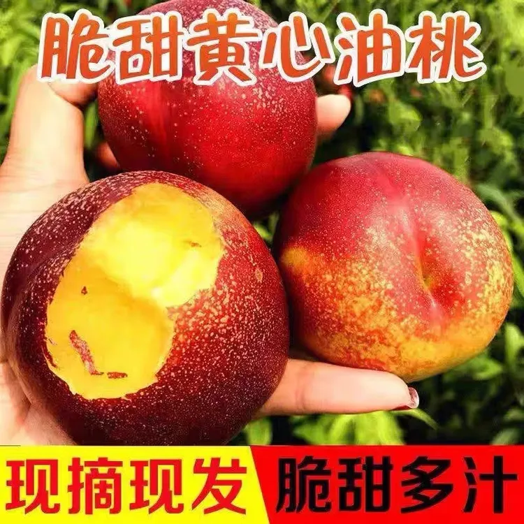 黄心油桃5斤新鲜水果脆甜黄肉大桃子当季整箱3水密桃蜜脆桃包邮10