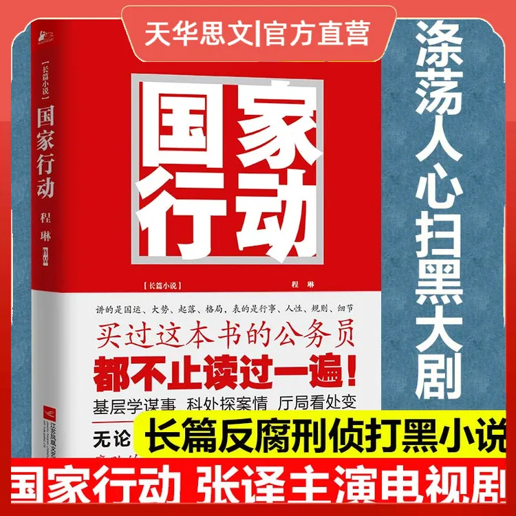 国家行动程琳著张译主演同名电视剧原著小说长篇反腐