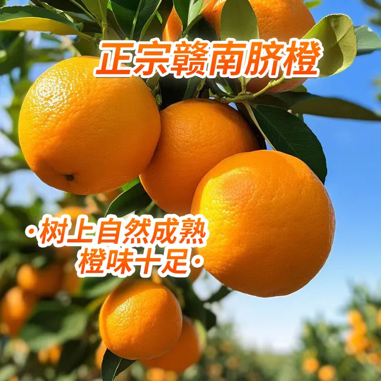 新鲜正宗赣南脐橙，农家现摘现发优选当季水果鲜甜皮薄橙味十足5斤