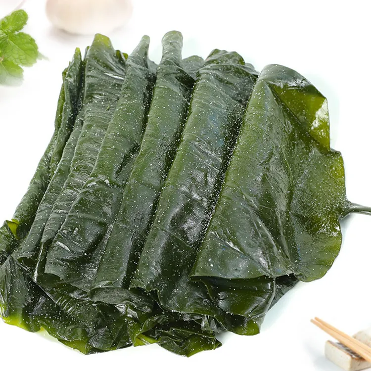 【渔乐小哥】大连当季头茬盐渍海带5斤装新鲜整颗包饭用批发
