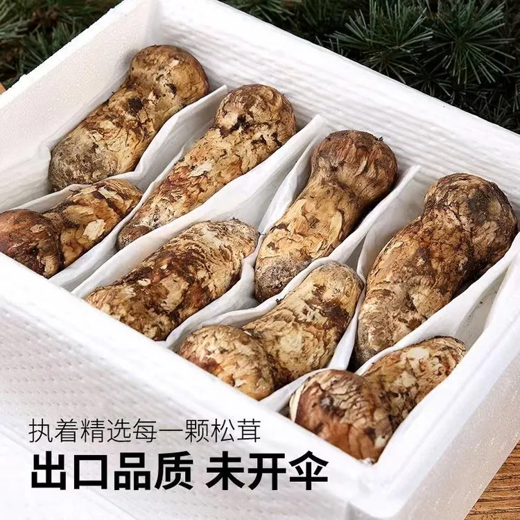 【核心产区】正宗云南香格里拉新鲜松茸   山货 美味甄选