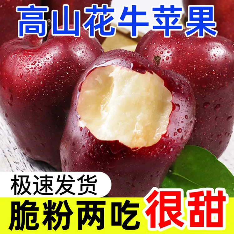 今年新果甘肃天水花牛苹果自然现摘脆粉两吃蛇果新鲜多汁当季水果