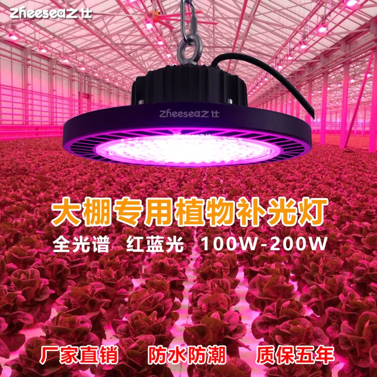 大棚专用植物补光灯红蓝光多肉法师葡萄蔬菜育苗生长灯番茄草莓
