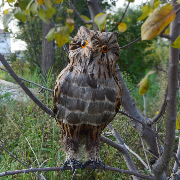 真羽毛仿真猫头鹰动物模型驱鸟工具真鸟类摆件庭院装饰森林道具