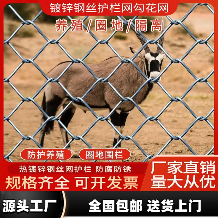 镀锌铁丝围栏网勾花网养殖钢丝网不锈菱形防护围网养鸡牛羊护栏网