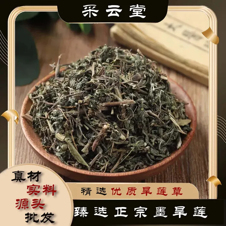 墨旱莲草新鲜采摘墨旱莲天然草本植物旱莲草何首乌桑叶