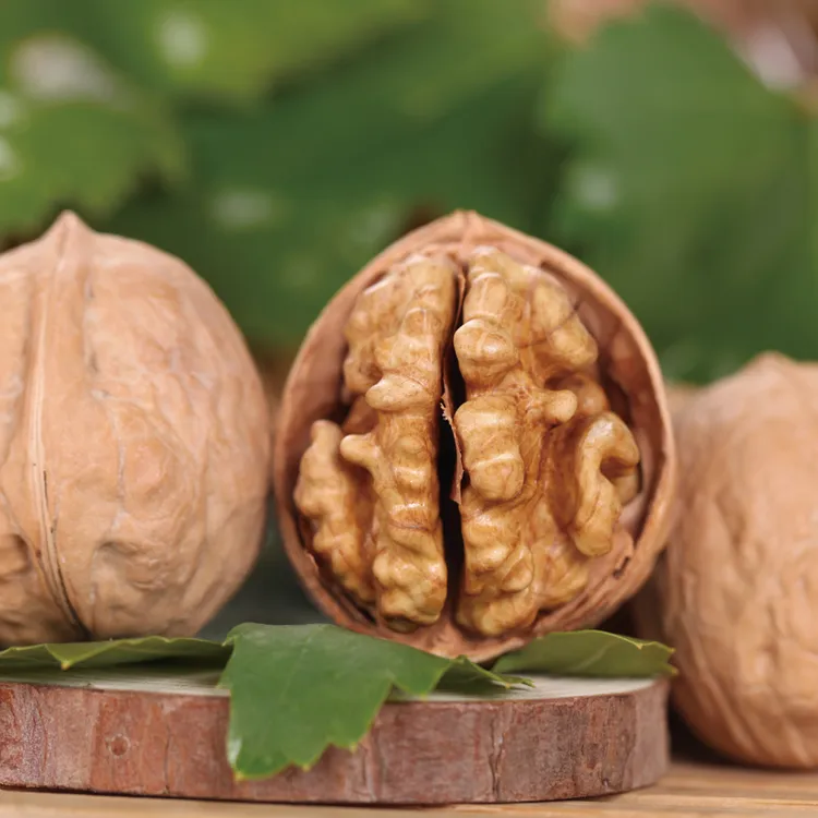 【新疆直发】泽拉木夏优选纸皮核桃250g新疆直发今年新核桃原味核桃