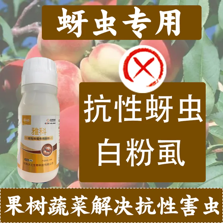 抗性蚜虫白粉虱木虱飞虱植物源农用生物助溶剂安全增效