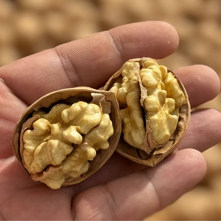 正宗185纸皮核桃3斤5斤饱满皮薄新疆纸皮核桃散装阿克苏核桃