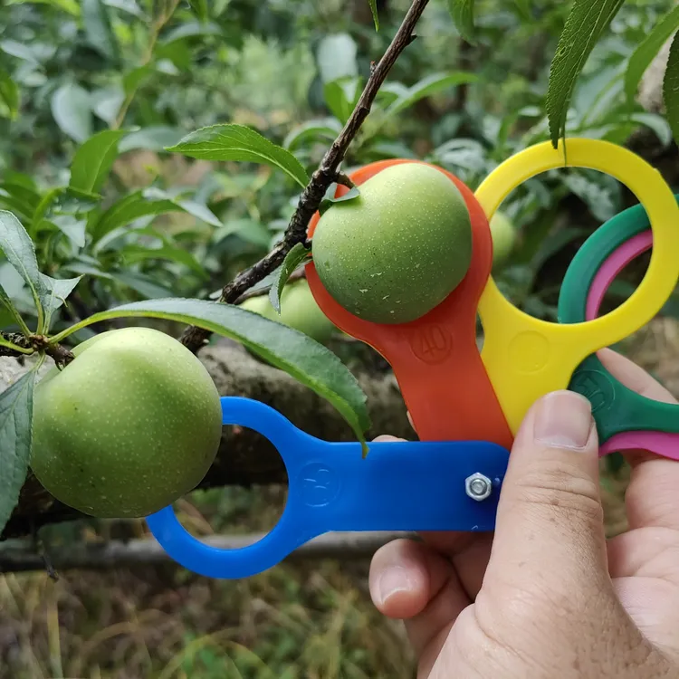 9斤 顺丰航空包邮