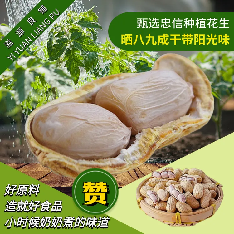 溢泓源客家风味配酒咸干水煮咸香长寿果好吃小零食下酒菜餐饮美味