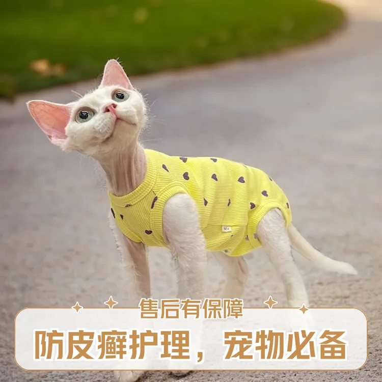 夏季宠物衣服斯芬克斯无毛猫德文衣服弹力防掉四脚衣薄保暖空调服