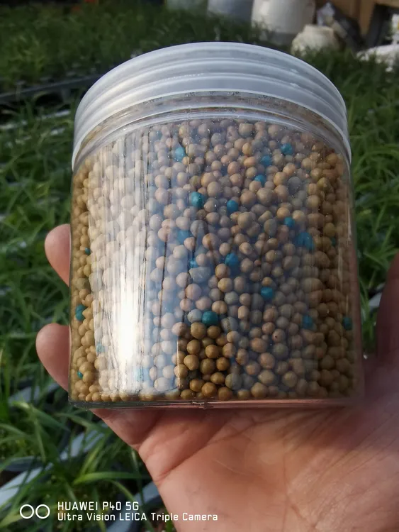 奥绿肥兰花专用肥料缓释颗粒型花卉绿植盆栽通用肥