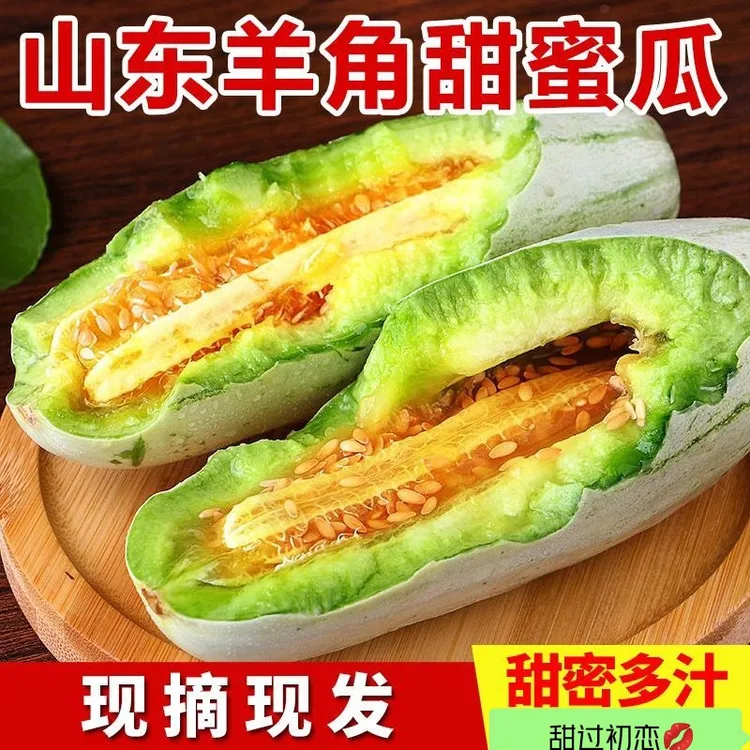 山东潍坊羊角蜜瓜净重3斤4.5斤头茬脆甜香瓜蜜瓜果味香甜