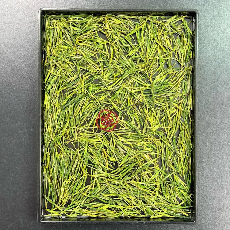 2025年高山雨前白茶 清香型绿茶 鲜爽甘甜