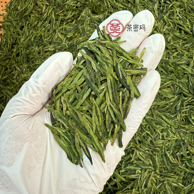 2025年新茶 绿板龙井43茶鲜叶 高豆香 回甘耐泡绿茶