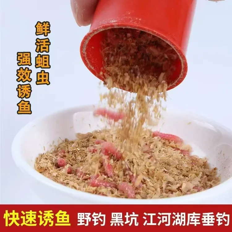 红蛆虫钓鱼野钓鲫鱼