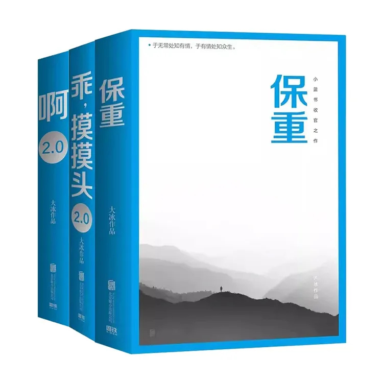 【正版】大冰作品 小蓝书系列保重小孩啊2.0乖摸摸头书籍