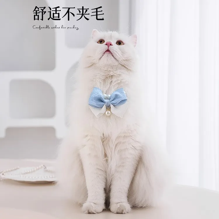 猫咪精致蝴蝶结珍珠项圈可爱围脖布偶幼猫可调节猫猫项链宠物饰品