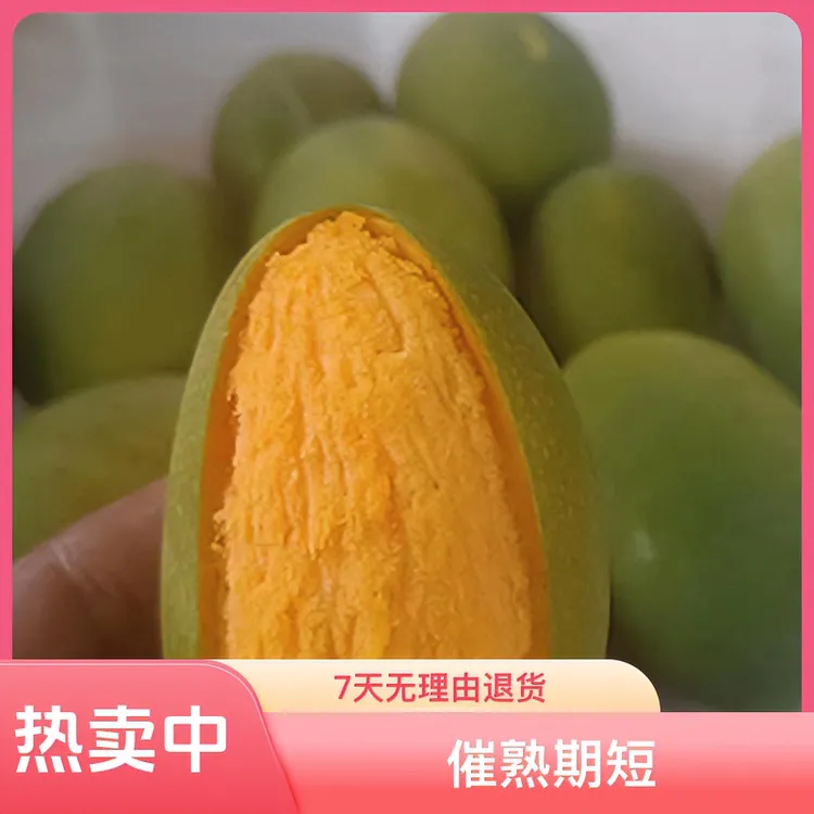 云南临沧椰香芒鸡蛋芒果肉香甜农产品食用批发零售保鲜包装发货