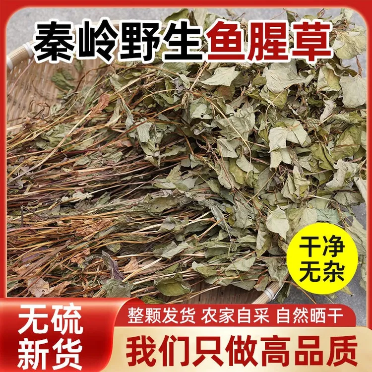 秦岭野生折耳根鱼腥草泡水喝中药材整棵干货农家自晒带杆折耳根