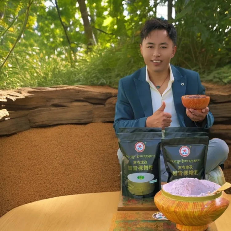 罗布琼孜黑青稞糌粑手工石墨糌粑西藏特产500g袋装