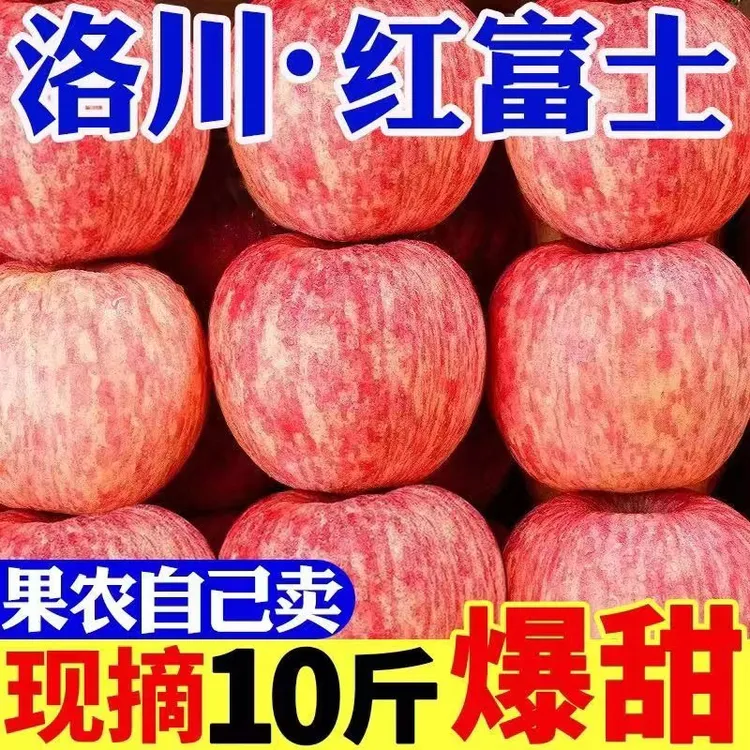 【新鲜采摘】带箱十斤正宗洛川红富士脆甜多汁9甜汁水多
