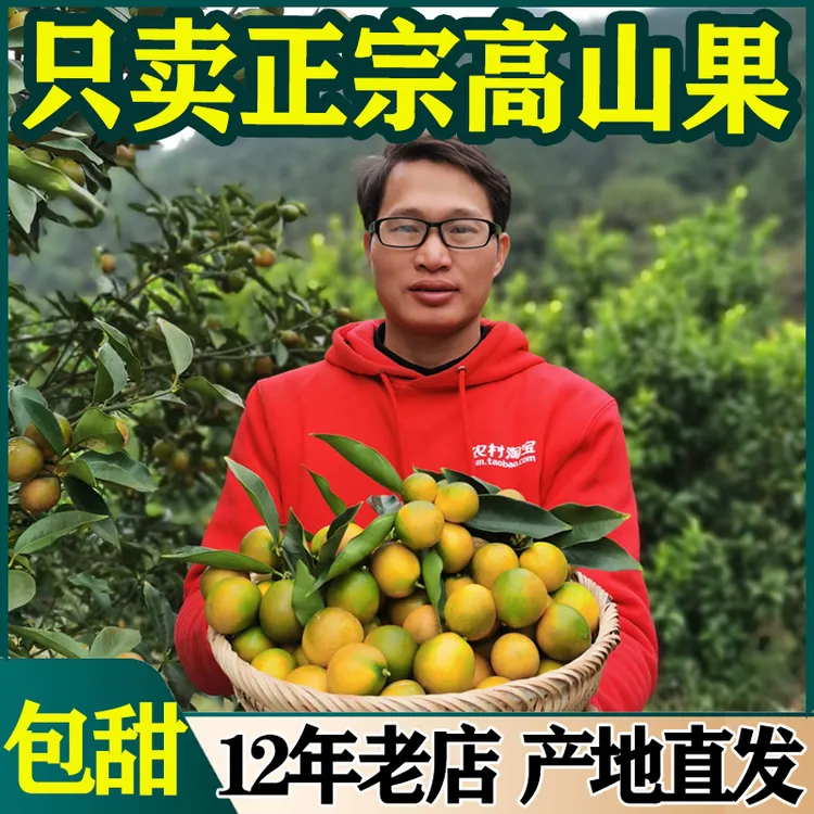 【纯甜不酸】广西融安脆皮金桔新鲜包邮水果柳州当季一级大果鲜果