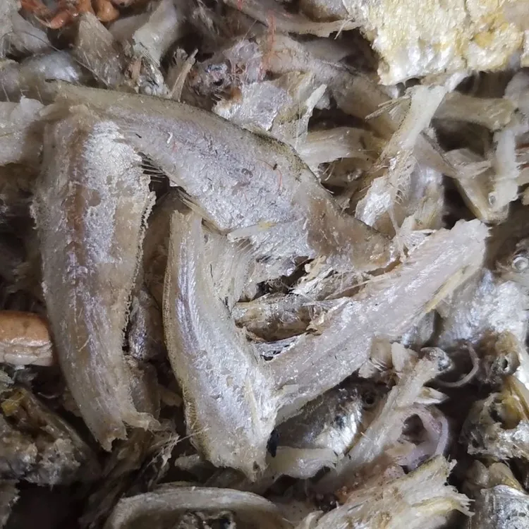 山东发货 熟锅宝鱼 直接吃 三斤 