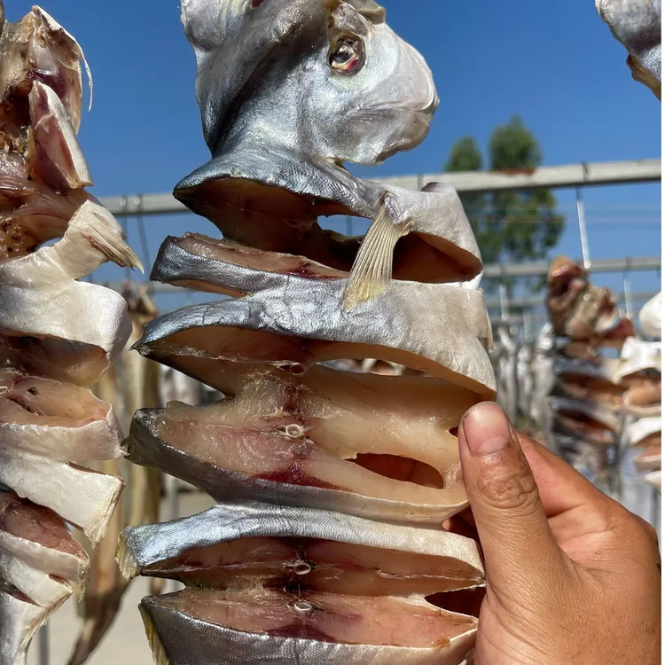 [三条渔]阳江特产金鲳鱼干 人工自晒 淡口淡香