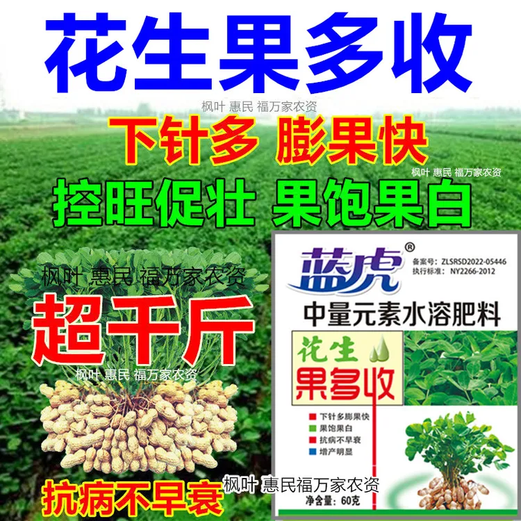 花生果多收花生高产叶面肥调节膨大花生粒粒饱抗病防早衰保花果
