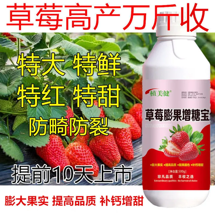 草莓膨果增甜剂叶面肥膨果剂增糖剂草莓膨果药保花果农药