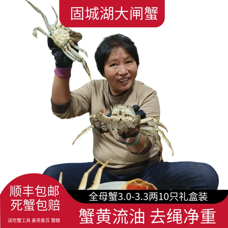 活蟹顺丰6只固城湖大闸蟹现货鲜活母蟹2.5-2.8两去绳净重礼盒