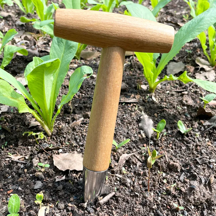 【宁泽】园艺打洞器T型施肥种菜种子移苗种植工具木柄追肥打孔器