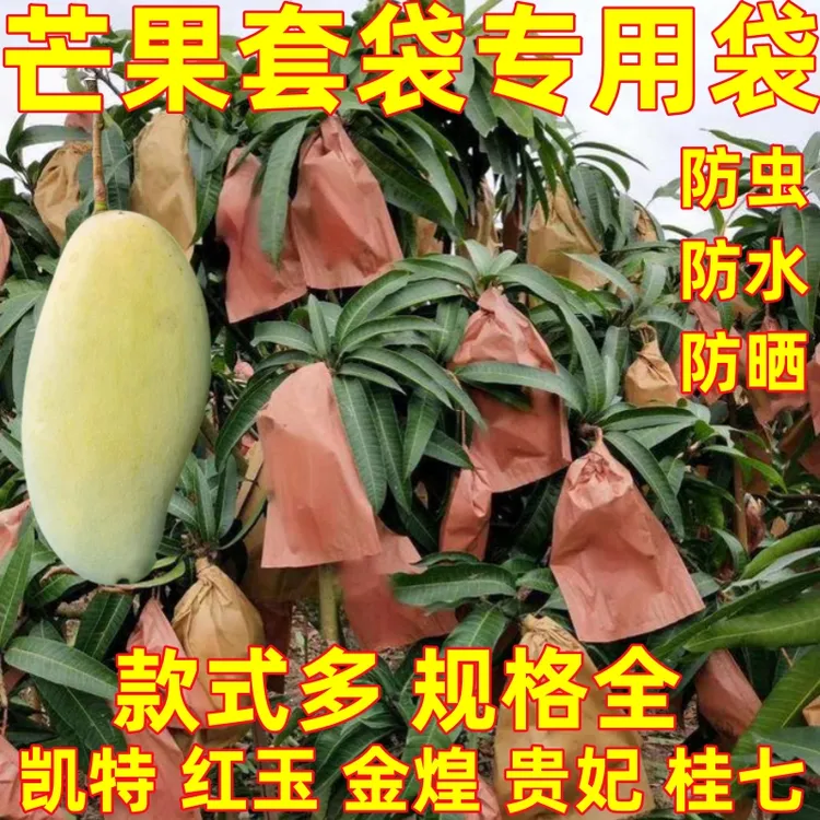金煌芒果套袋专用袋双层加厚红玉贵妃青芒套袋防虫蝇防鸟果袋整袋