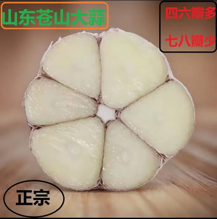 （农家自种）山东苍山四六瓣大蒜老品种香味浓郁