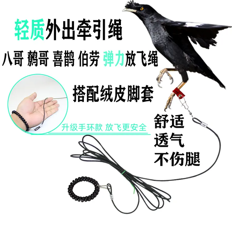 鸟用轻便放飞绳家养八哥鹩哥白颈乌鸦外出牵引遛鸟绳柔软绒皮脚套