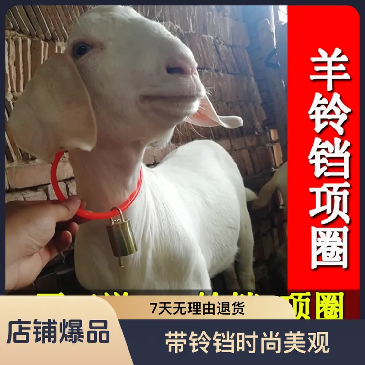 羊铃铛羊用安装挂铃羊脖子铃铛羊脖套带铃铛羊项圈大羊用铃铛羊羔