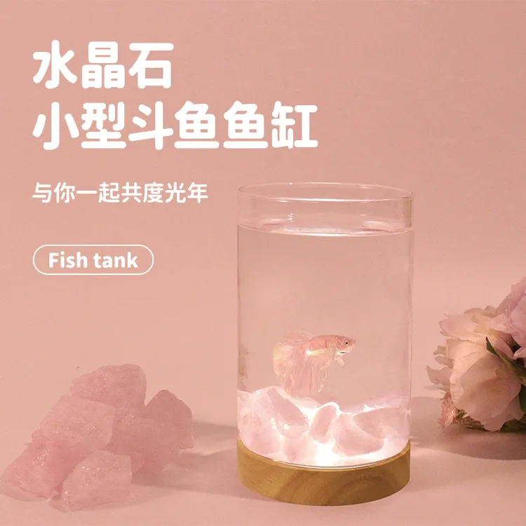 斗鱼专用缸超白玻璃小型鱼缸桌面微景观白色水晶石斗鱼专用鱼缸