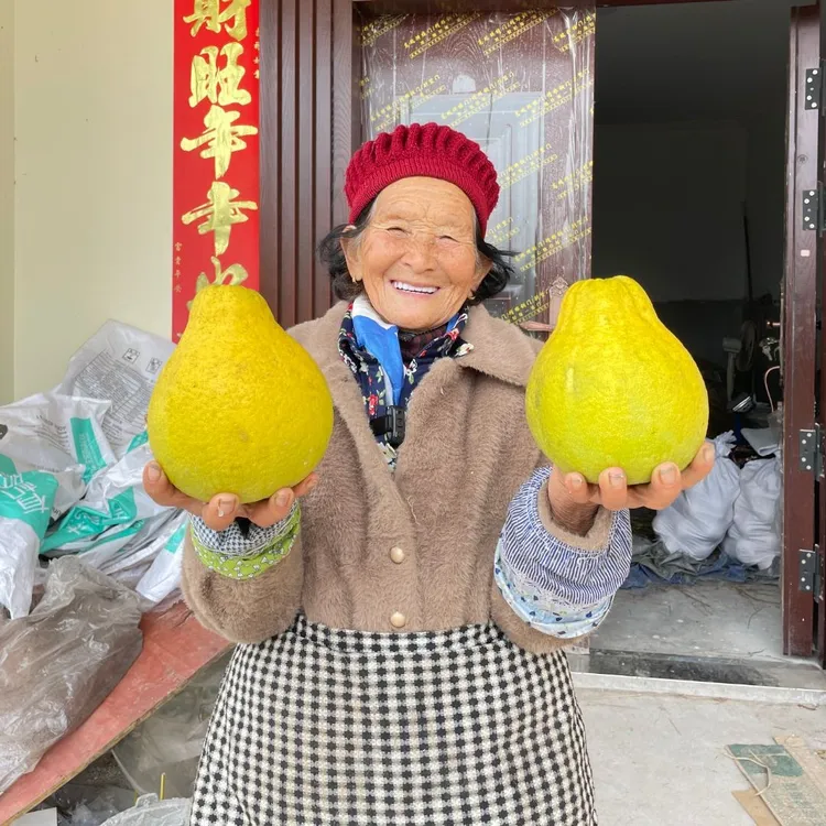 3正宗长寿古树沙田柚1-2斤单果多汁品质细腻正宗饱满甜蜜产地爽口