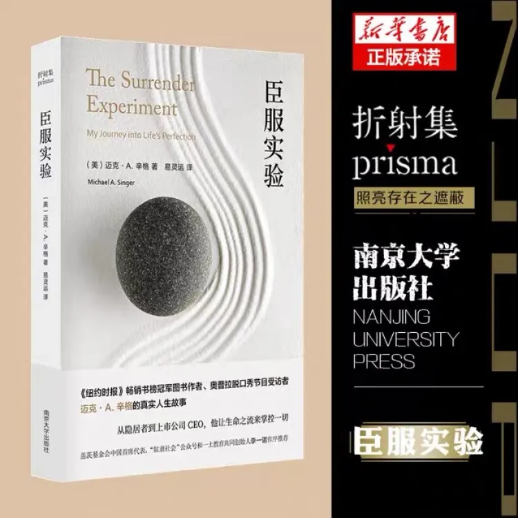 臣服实验 从隐居者到上市CEO 自我实现成长励志书籍 不羁的灵魂