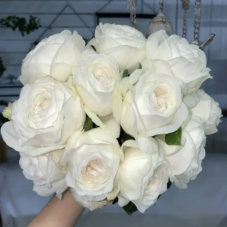 【婚礼之路月季】独颗2加仑盆白色包子型花原盆原土栽种好发货