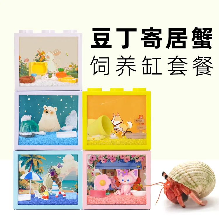 寄居蟹活体新手寄居蟹套装～积木盒套餐饲养儿童礼物桌面萌宠礼盒