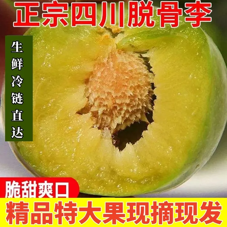 四川农家高山脱骨青脆李江安李空心李脆骨李子特大礼盒装 5斤包邮