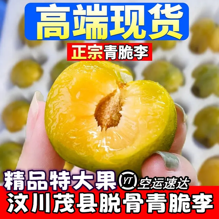 四川汶川茂县脱骨青脆李江安李空心李脆骨李子特大礼盒装 5斤包邮